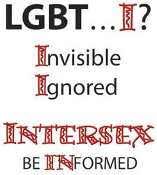 Weißer Hintergrund mit schwarz-roter Schrift: LGBT… I? Invisible. Ignored. INTERSEX Be INformed.